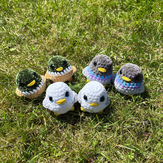 SMALL BIRDS