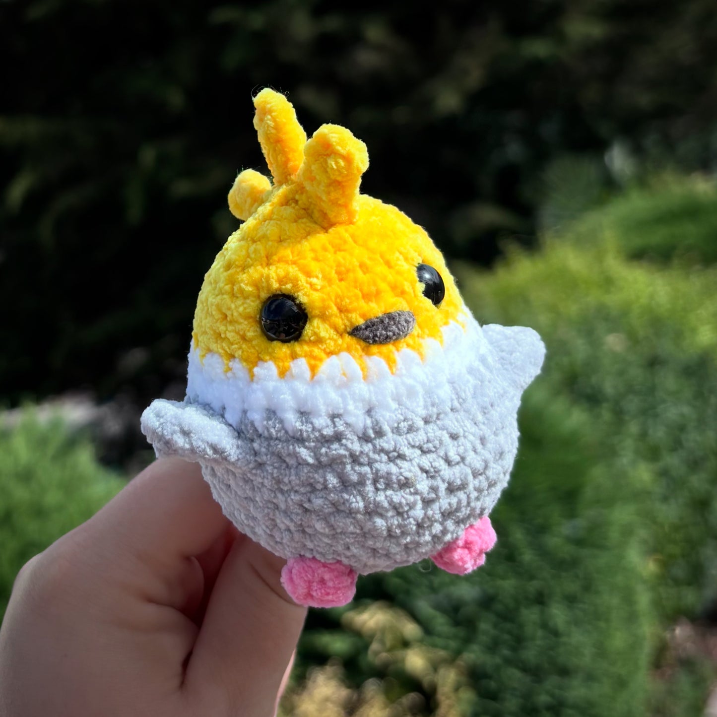 COCKATIEL