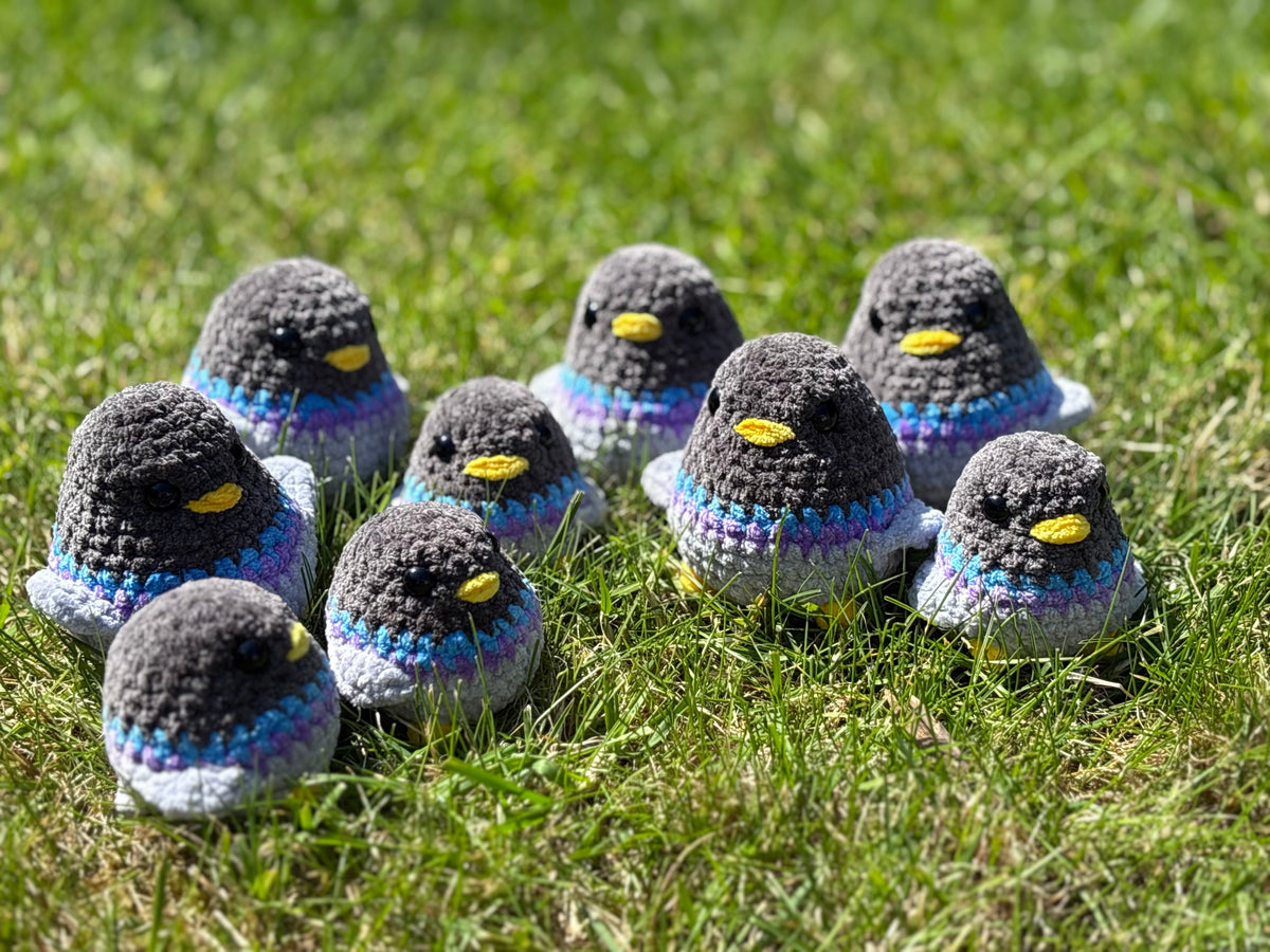 SMALL BIRDS