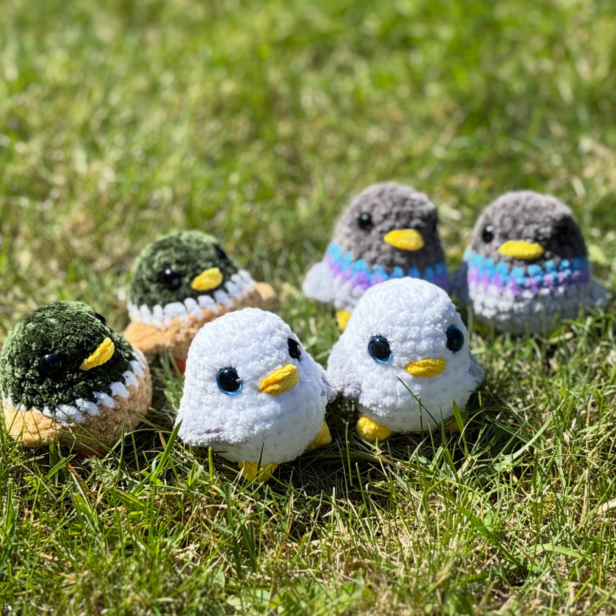 SMALL BIRDS