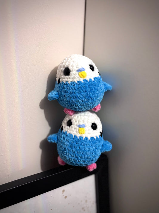 Budgie