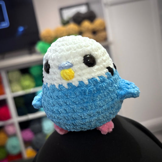 Budgie